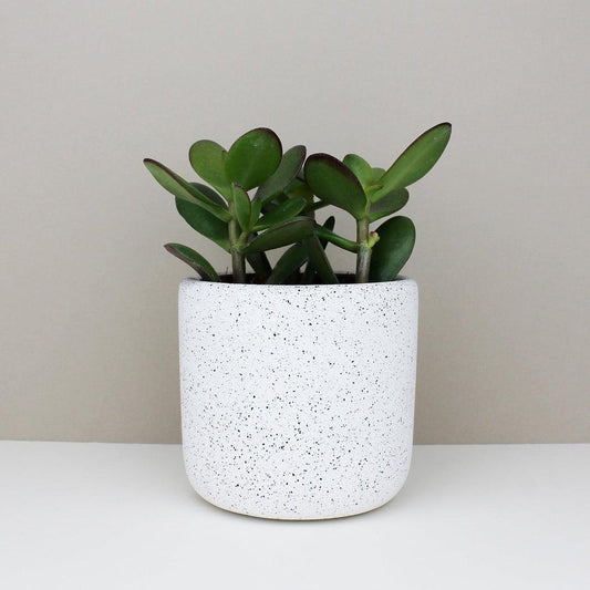 Medium Jesmonite Pot in White