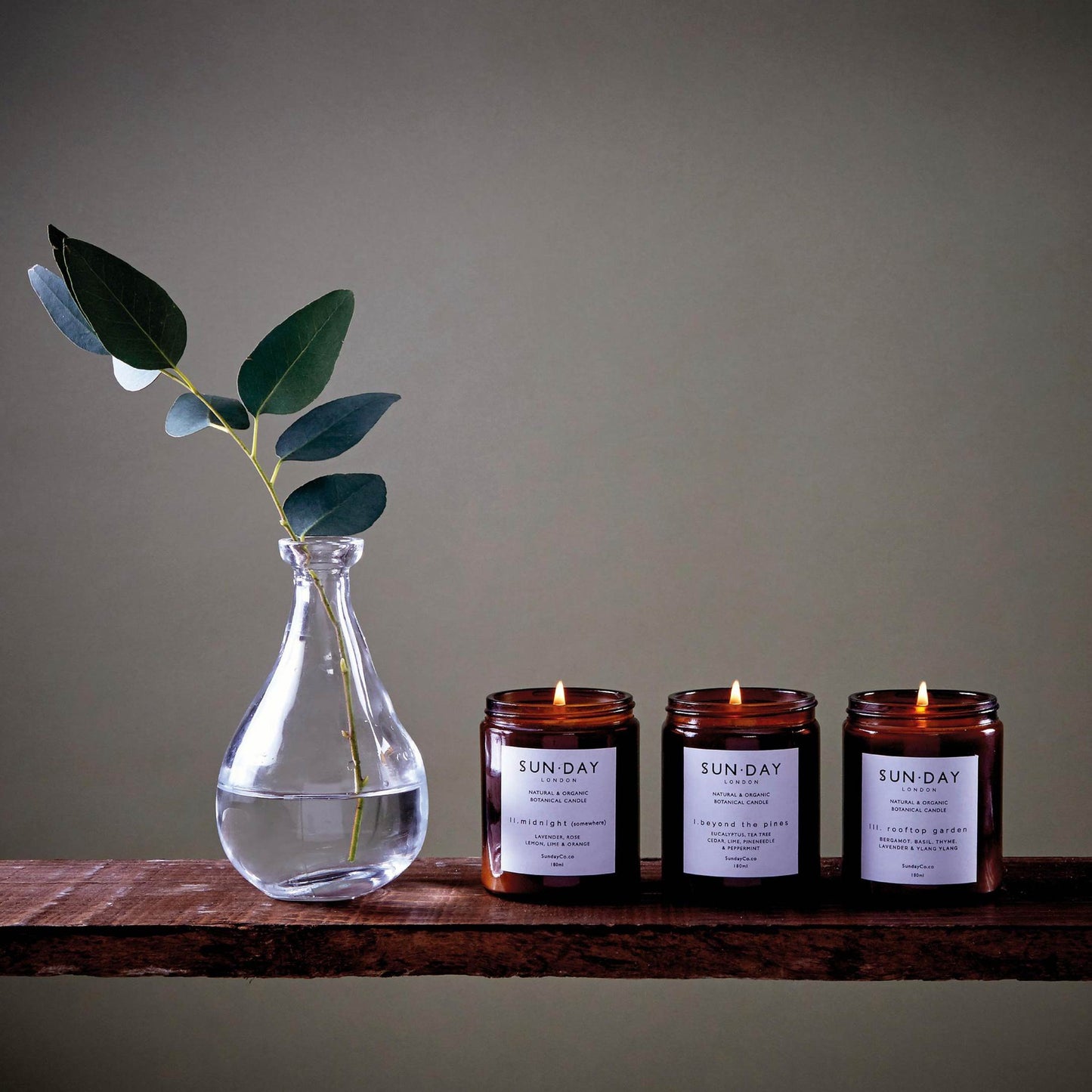 Beyond the Pines Scented Botanical Candle