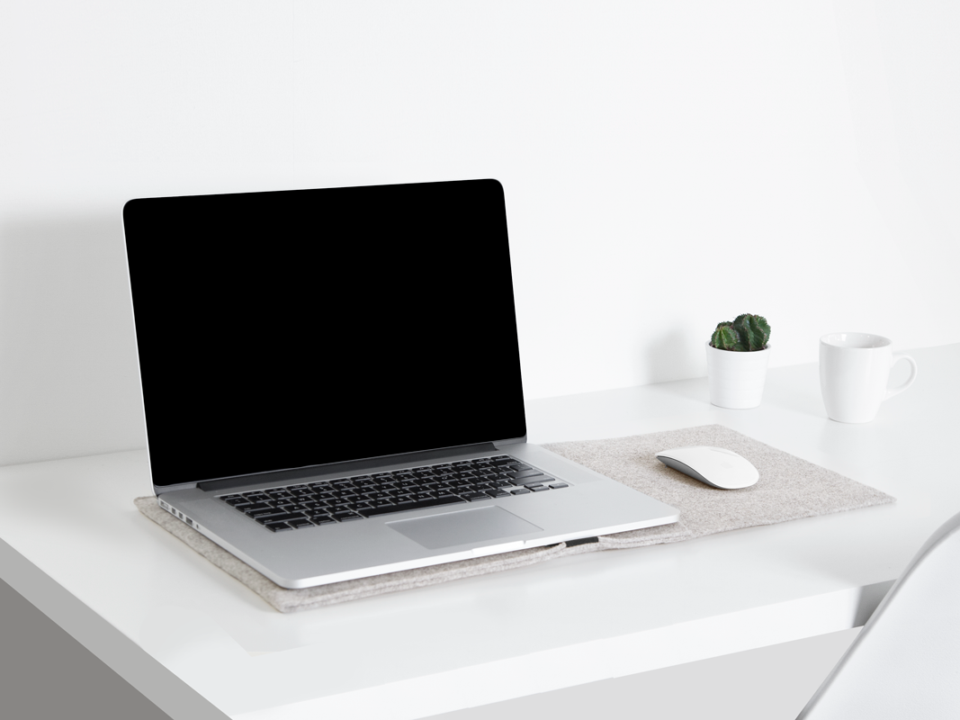 Felt Wool Computer Sleeve 13"