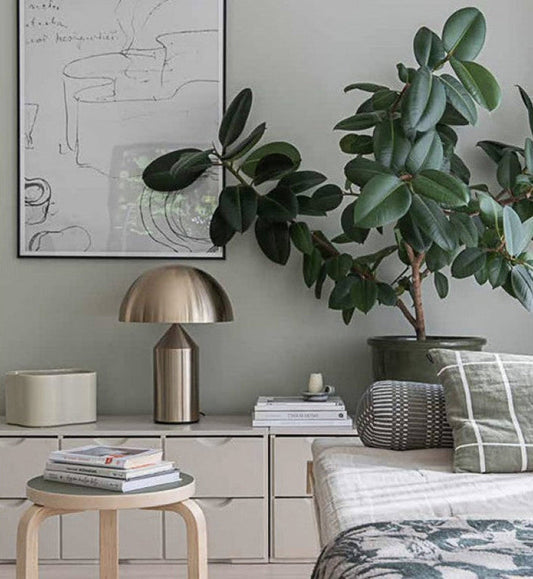 Slow Living: More Than A Book With Cozy Publishing