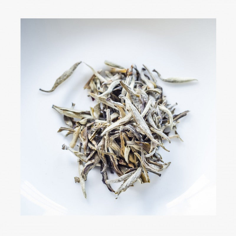 Discovery: The Rare Tea Company