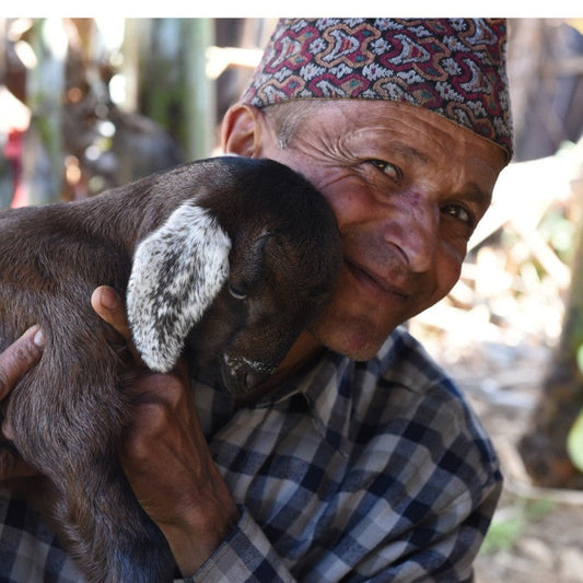 Here Is How To Make Your Knitwear Stand The Test Of Time