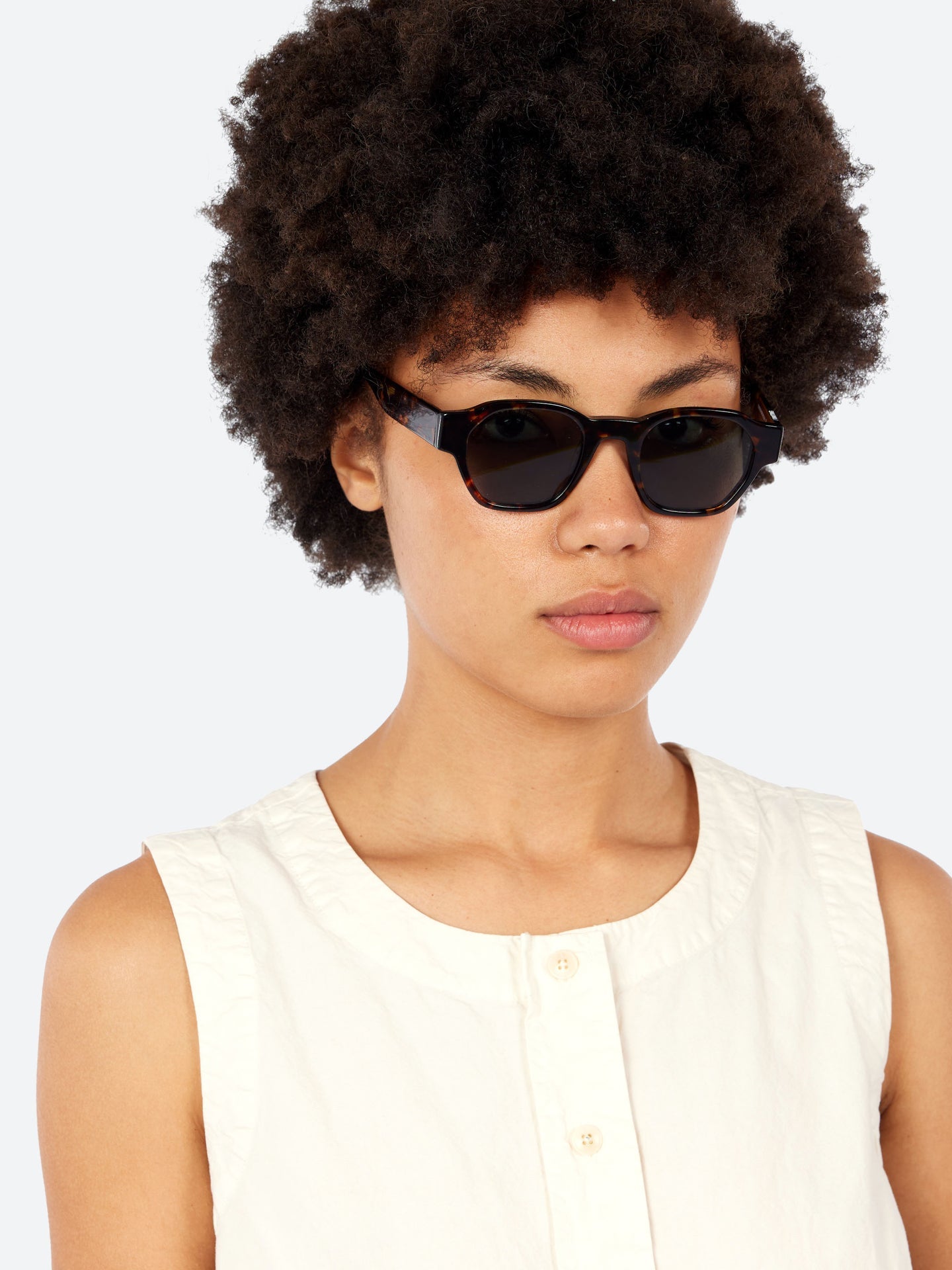 Clio Brown Tortoise Sunglasses