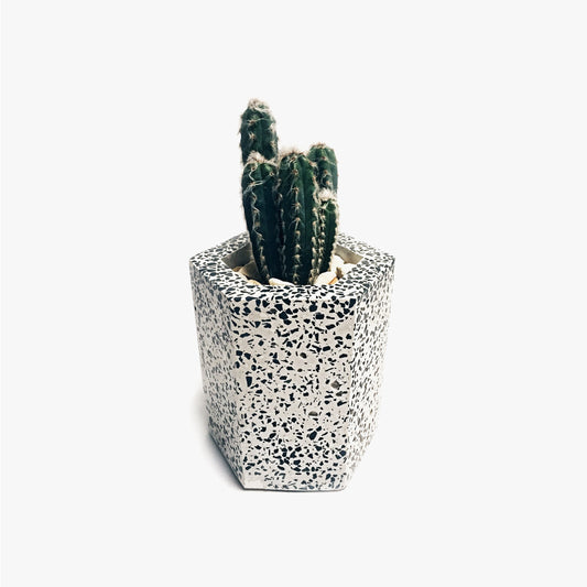 Hexagonal Terrazzo Pot