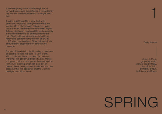 The Potted Garden - All Year Round