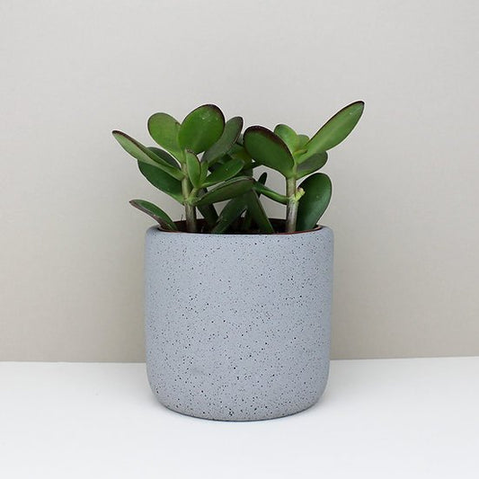 Medium Jesmonite Pot in Grey