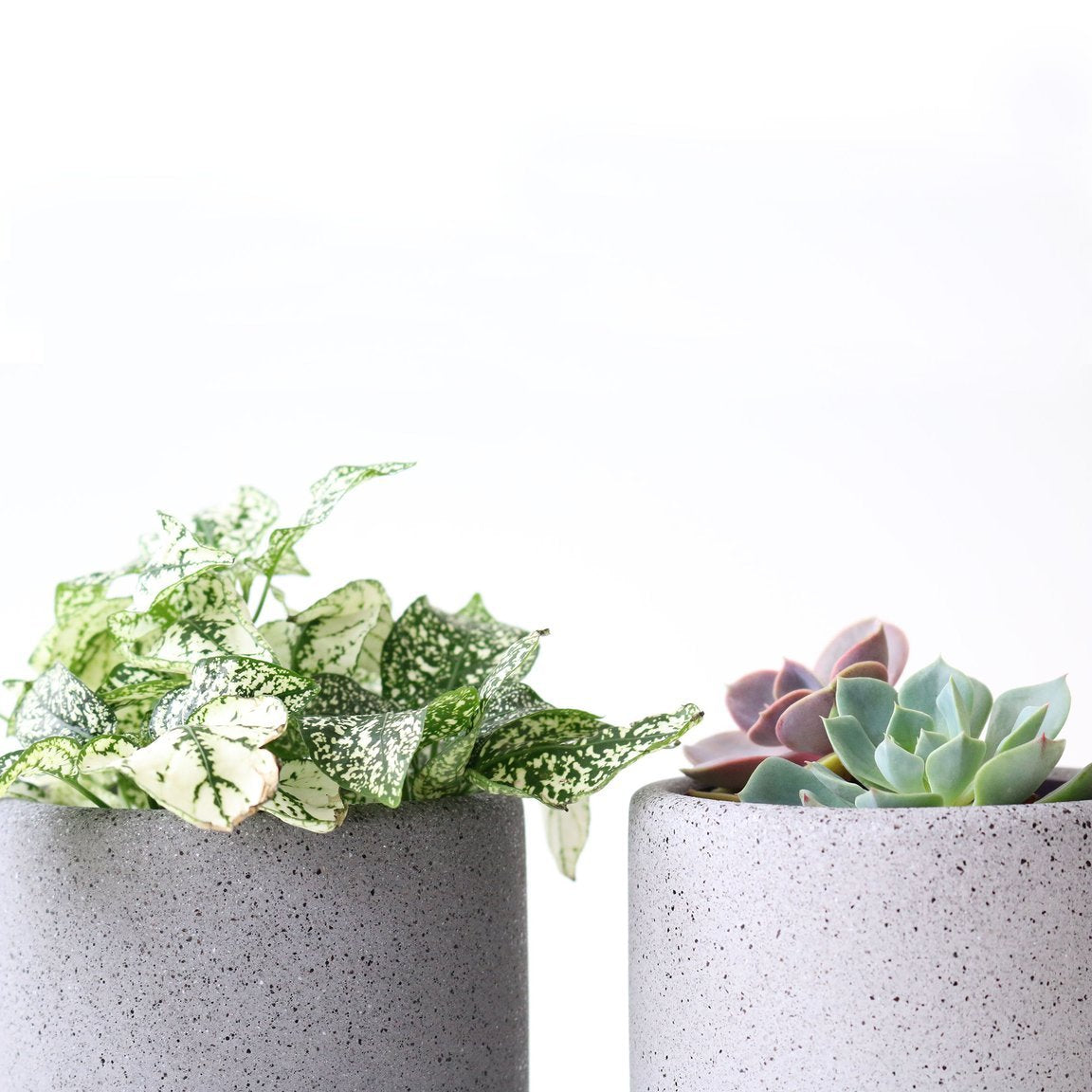 Medium Jesmonite Pot in White