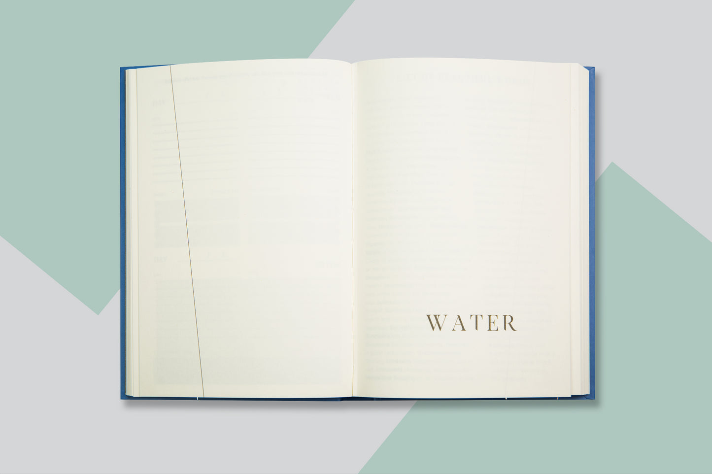 Agenda of Change Daily Planner