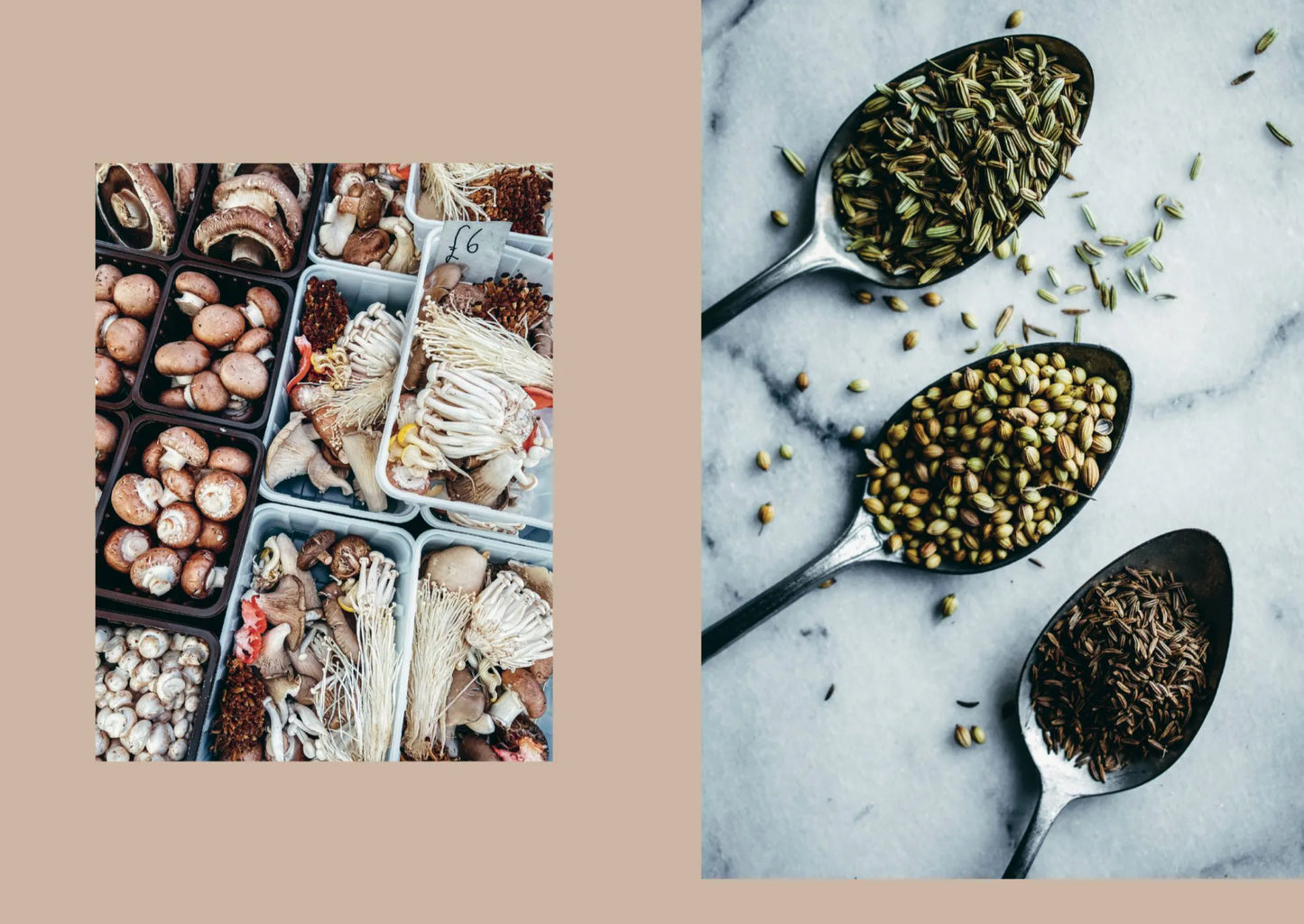 Veggies, Everyday of The Week Cookbook