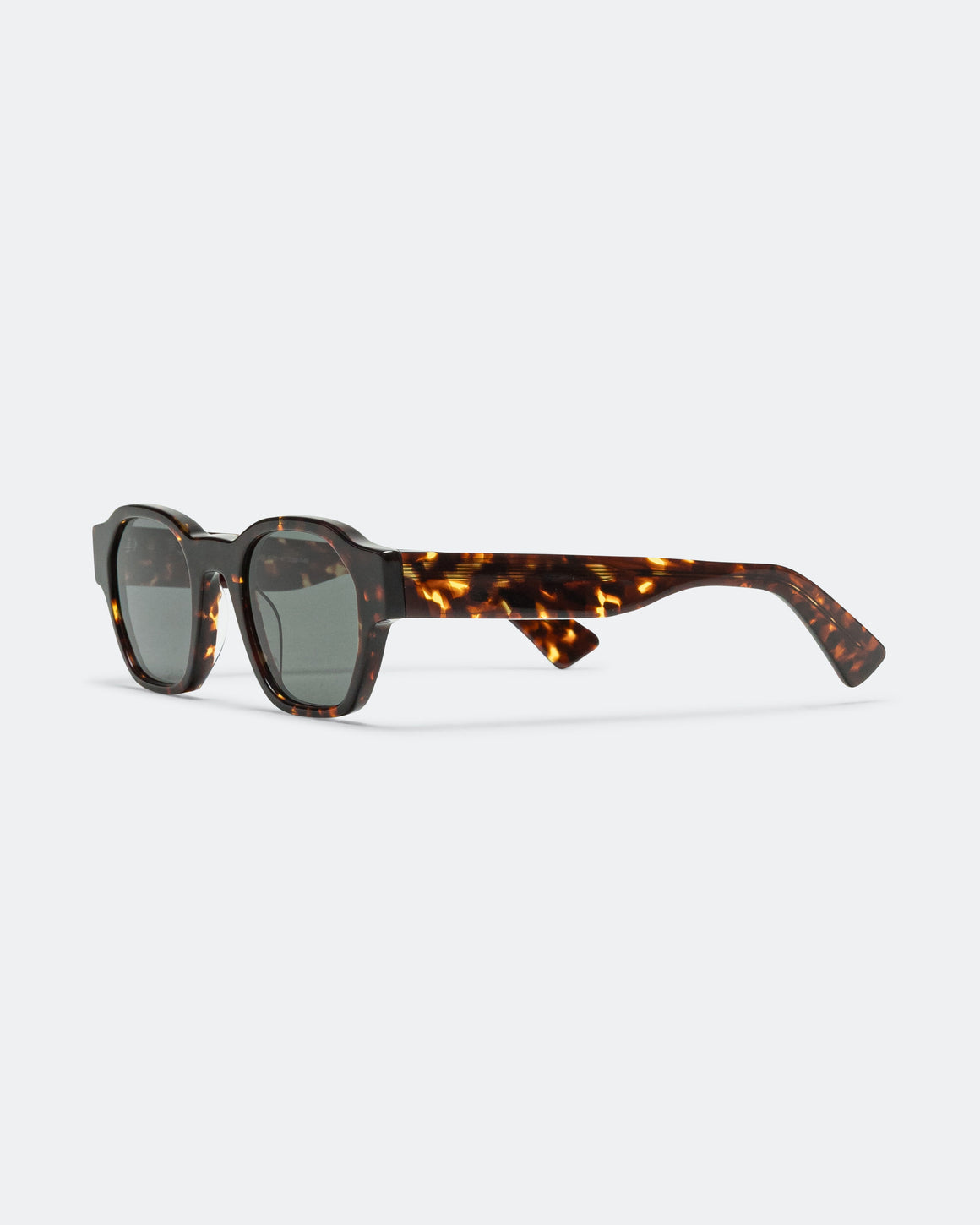 Clio Brown Tortoise Sunglasses