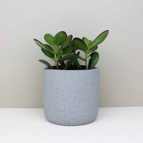 Medium Jesmonite Pot in Grey | The Collaborative Store